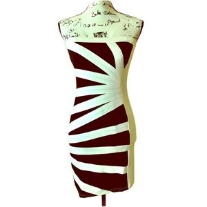 Body Central Bodycon Tube Dress